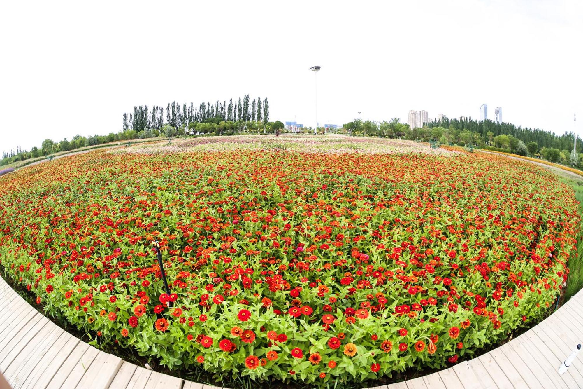 Primus Hotel Yinchuan Exteriör bild