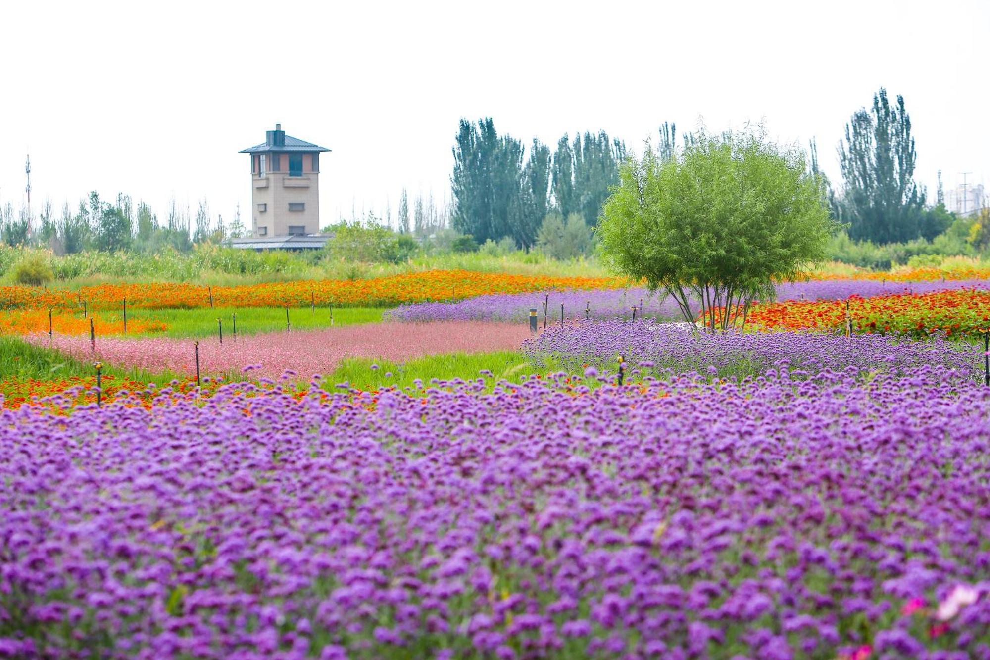 Primus Hotel Yinchuan Exteriör bild